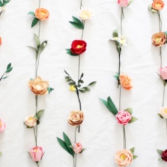 Meet your Posher, Ava - Picture 1 of 1